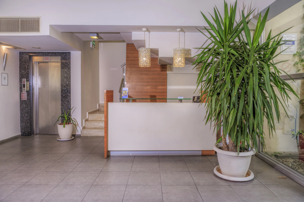 Lobby & Reception