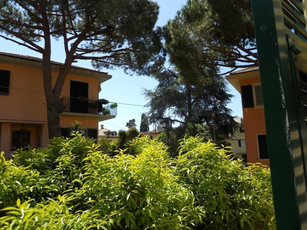 Classic Single room with garden view
