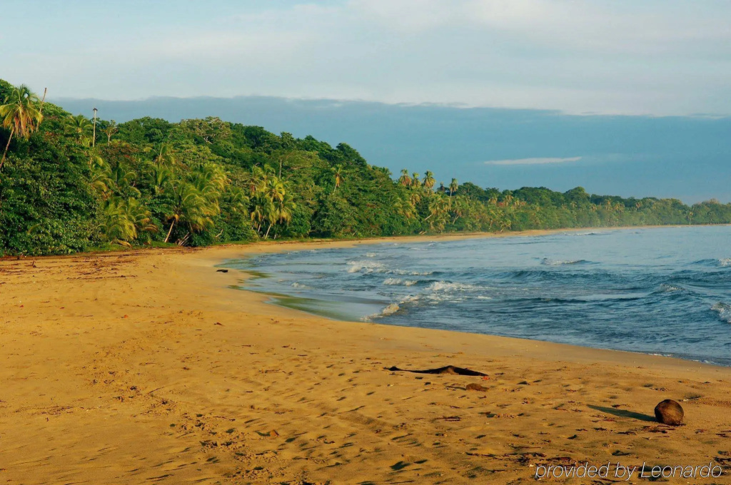 Beach & Waterfront