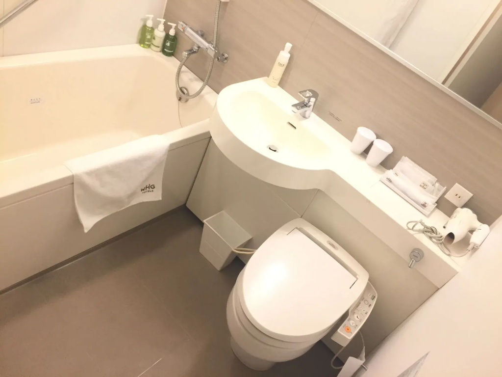 Akihabara Washington Hotel - Général