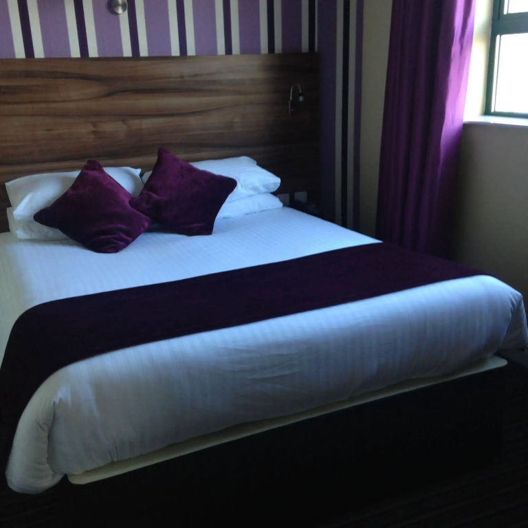 Mourne Country Hotel - Général