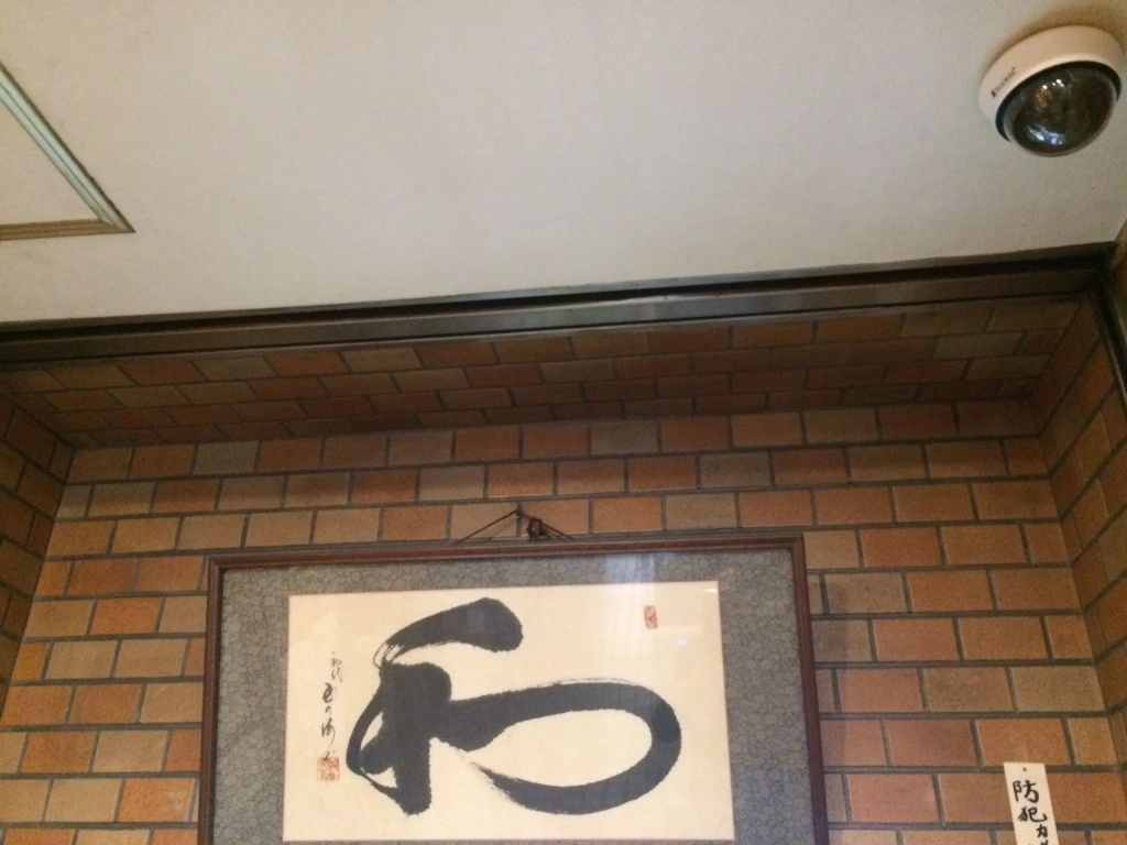 Hotel Yanagibasi