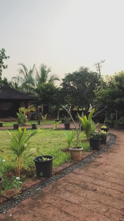 Surve Farms - Général