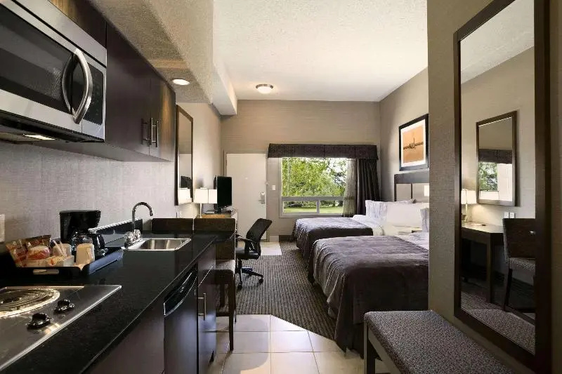 Standard Double room (twin beds)