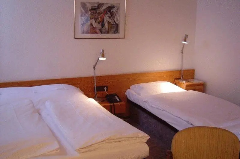 Hotel & Restaurant Raisch - Chambres