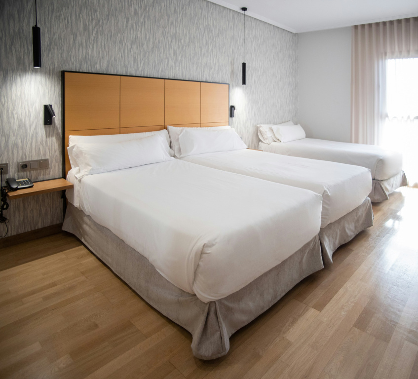 Hotel Sercotel Gran Fama - Général