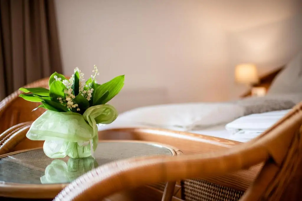 Hotel Irmgard - Chambres