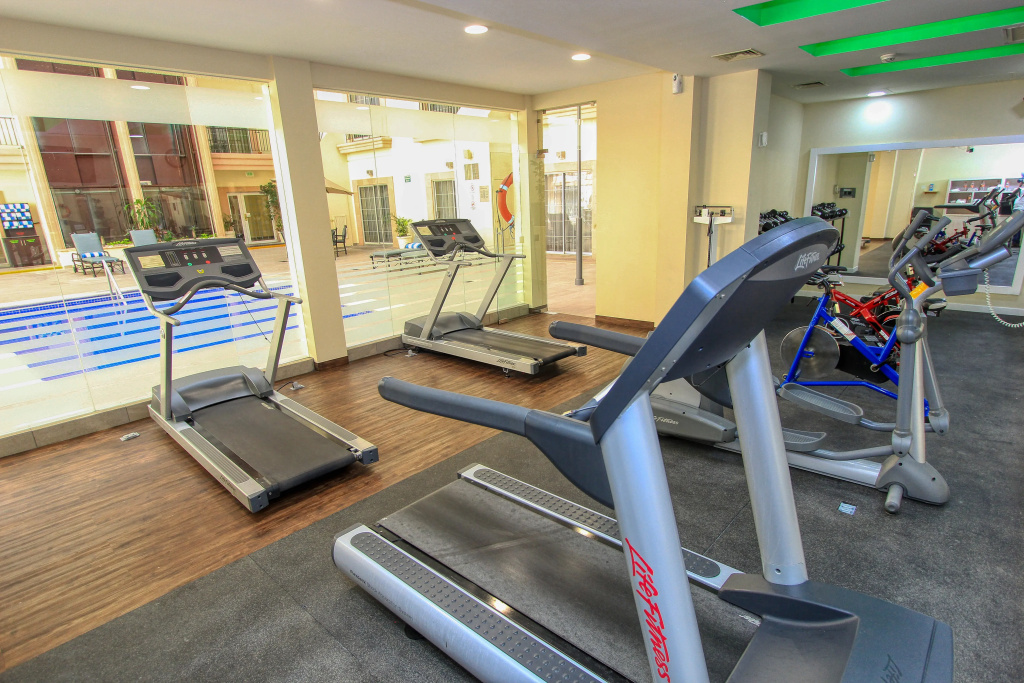 Holiday Inn Leon by IHG - Général