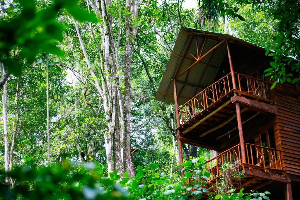 Ella Eco Lodge