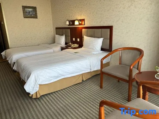 Business Double room (twin beds)
