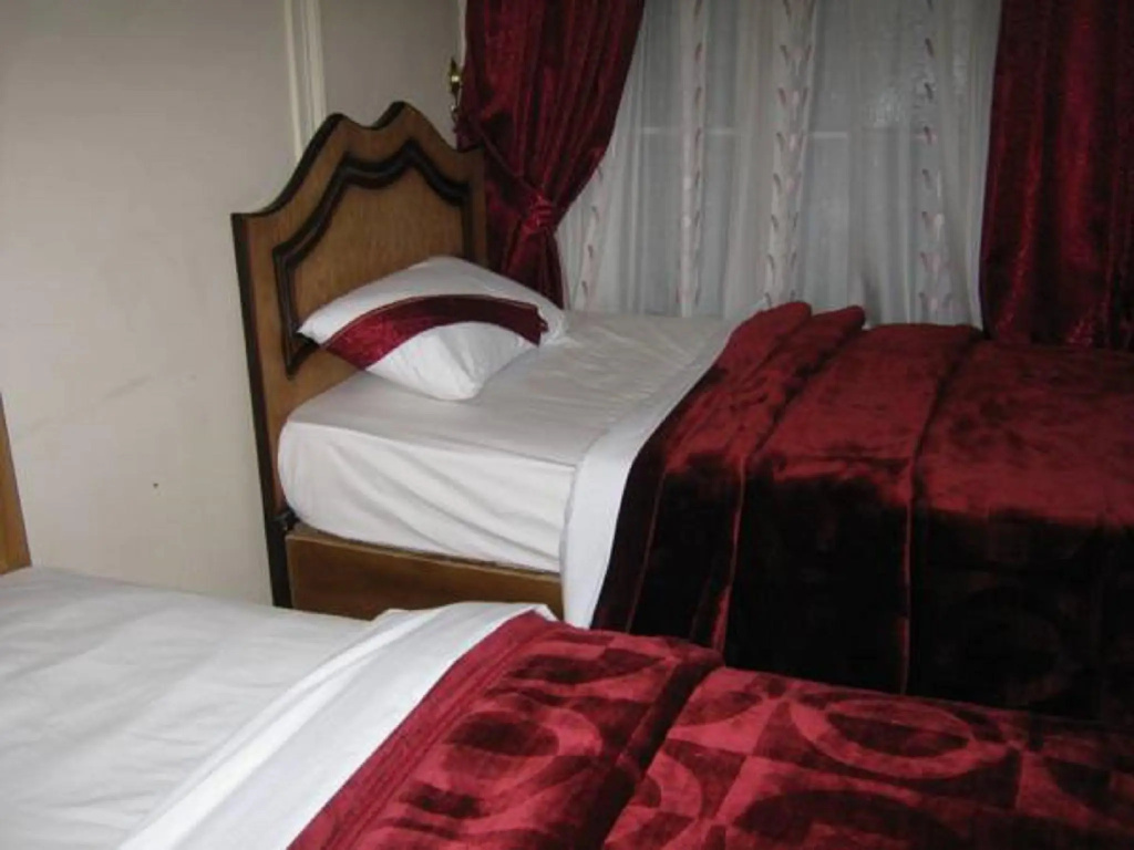 Standard Double room with city view (twin beds)