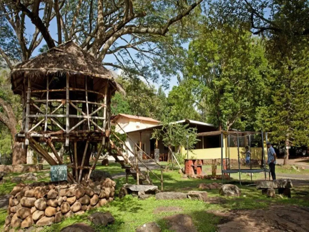 Jungle Retreat Masinagudi - Général