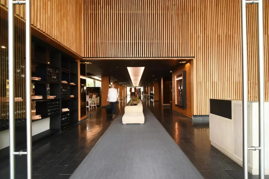 Solace Hotel Santiago - Général