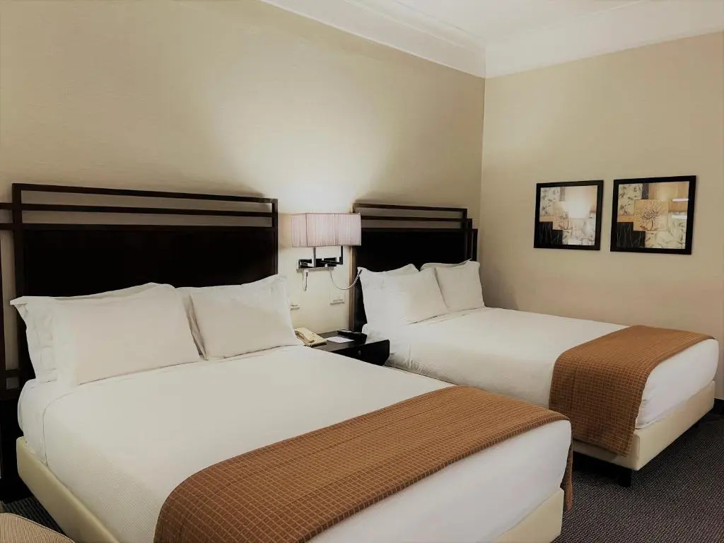 Crowne Plaza Rome St. Peter's by IHG - Chambres