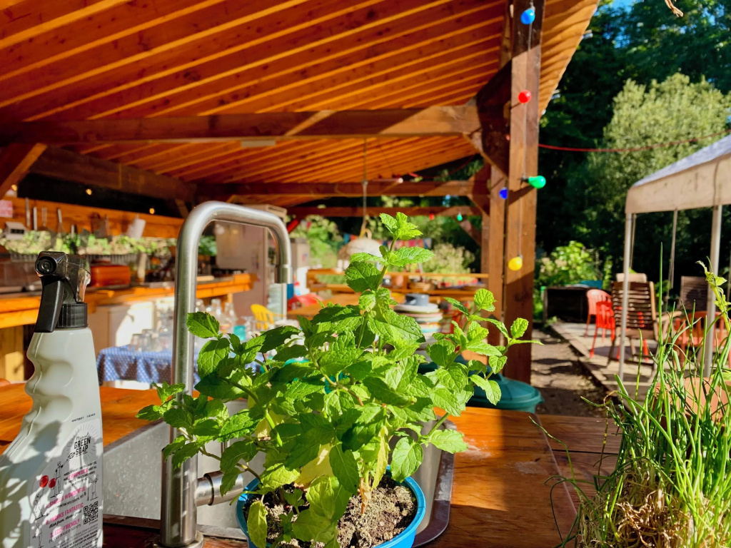Camping De Helleborus