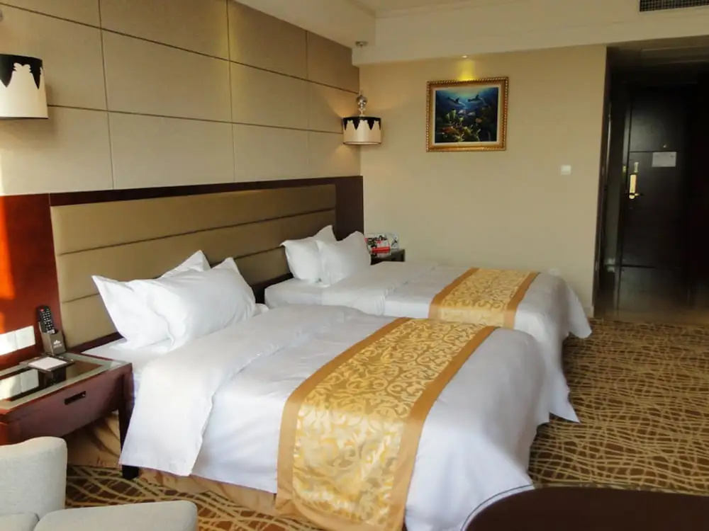 Deluxe Double room (twin beds)