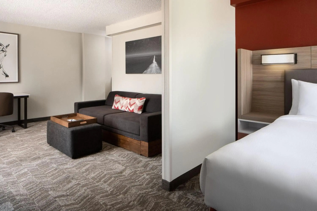 SpringHill Suites Dallas Downtown / West End - Général