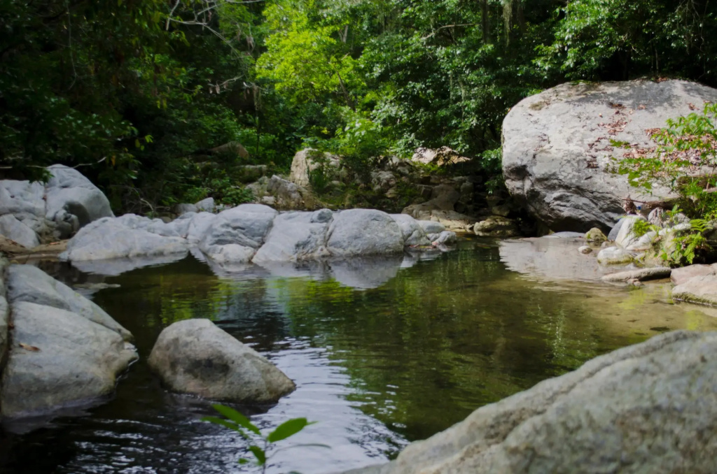 Tayrona Paradise - Général