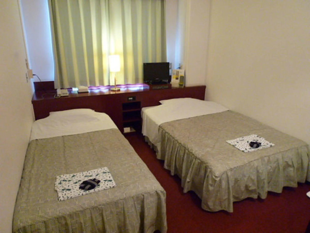 Standard Double room (twin beds)