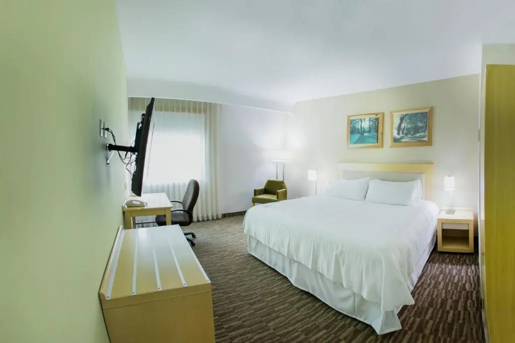 Excellence Express San Juan del Río - Chambres