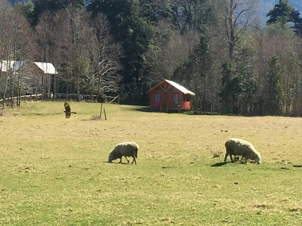 Cabana En La Pradera Lindo Paisaje En Pucon