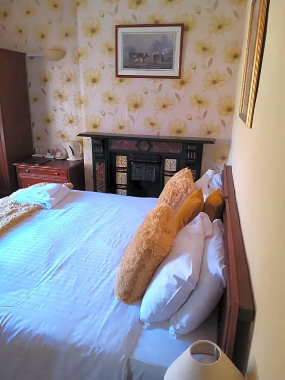 Tyr Graig Castle - Chambres