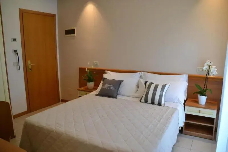 Superior Double room (full double bed)