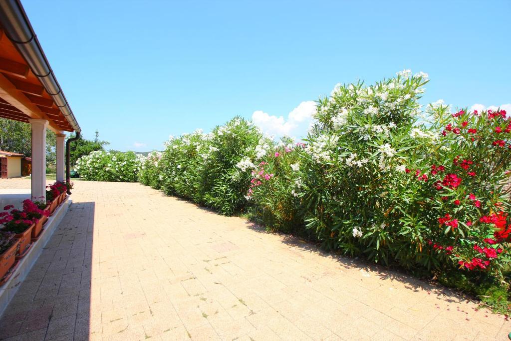 Коттедж в Holiday Home Valmoneda