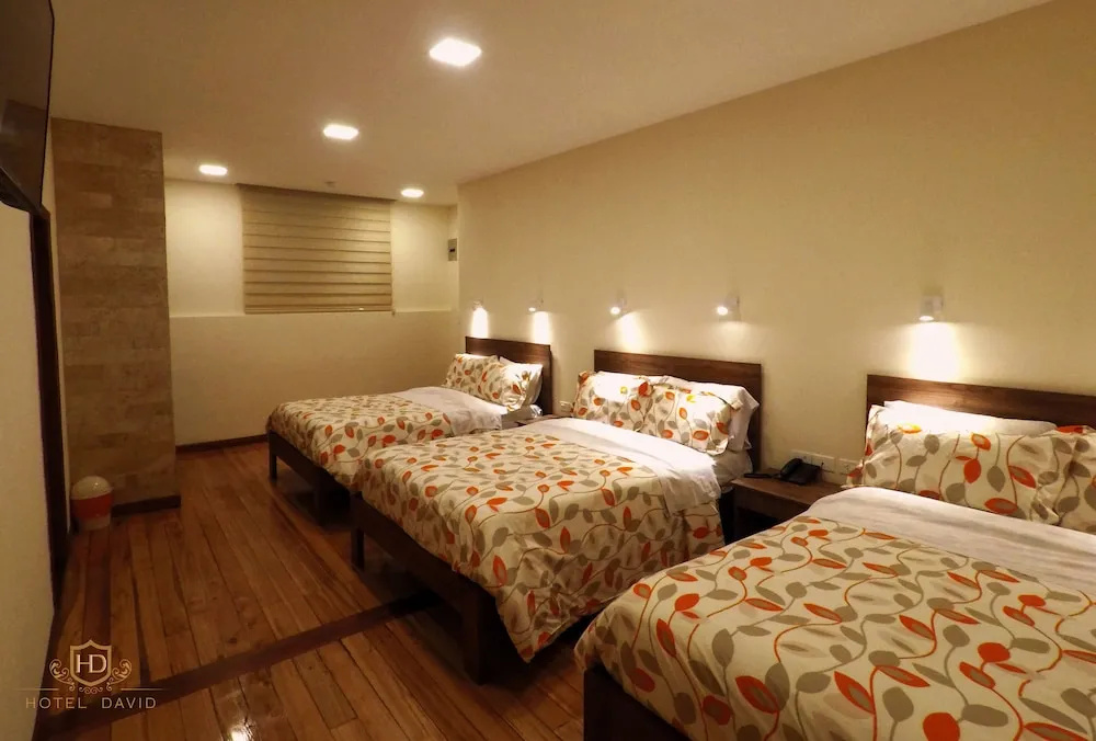 Hotel David - Chambres