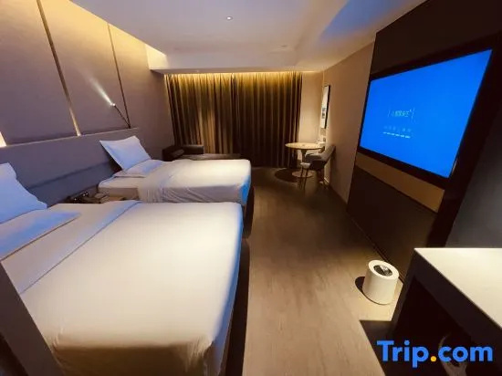Comfort Double room (twin beds)