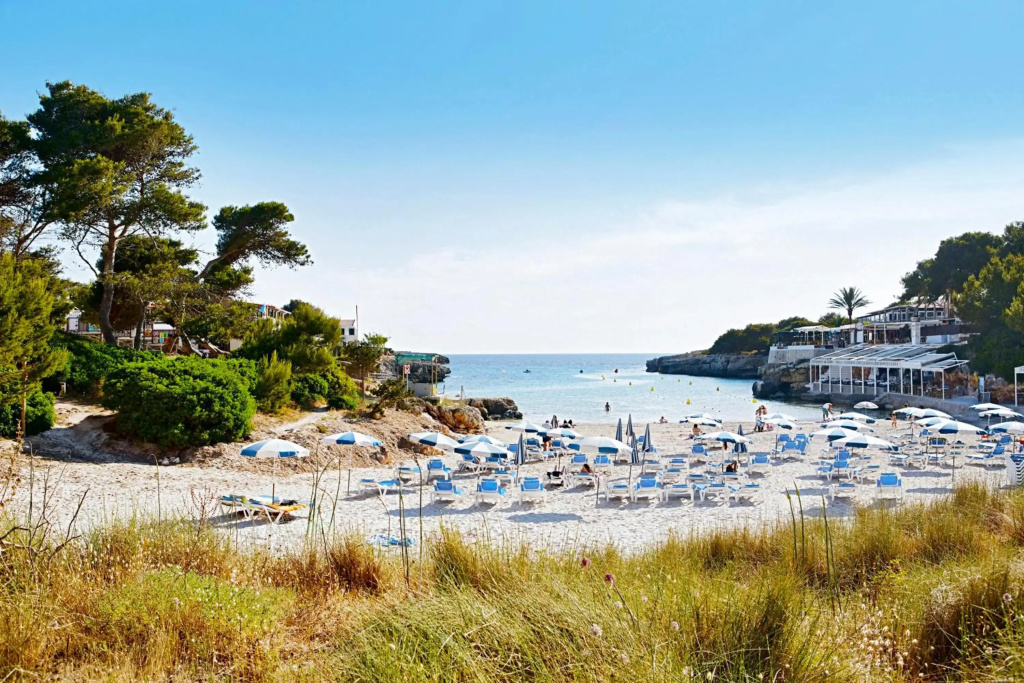 Globales Cala Blanca - Général