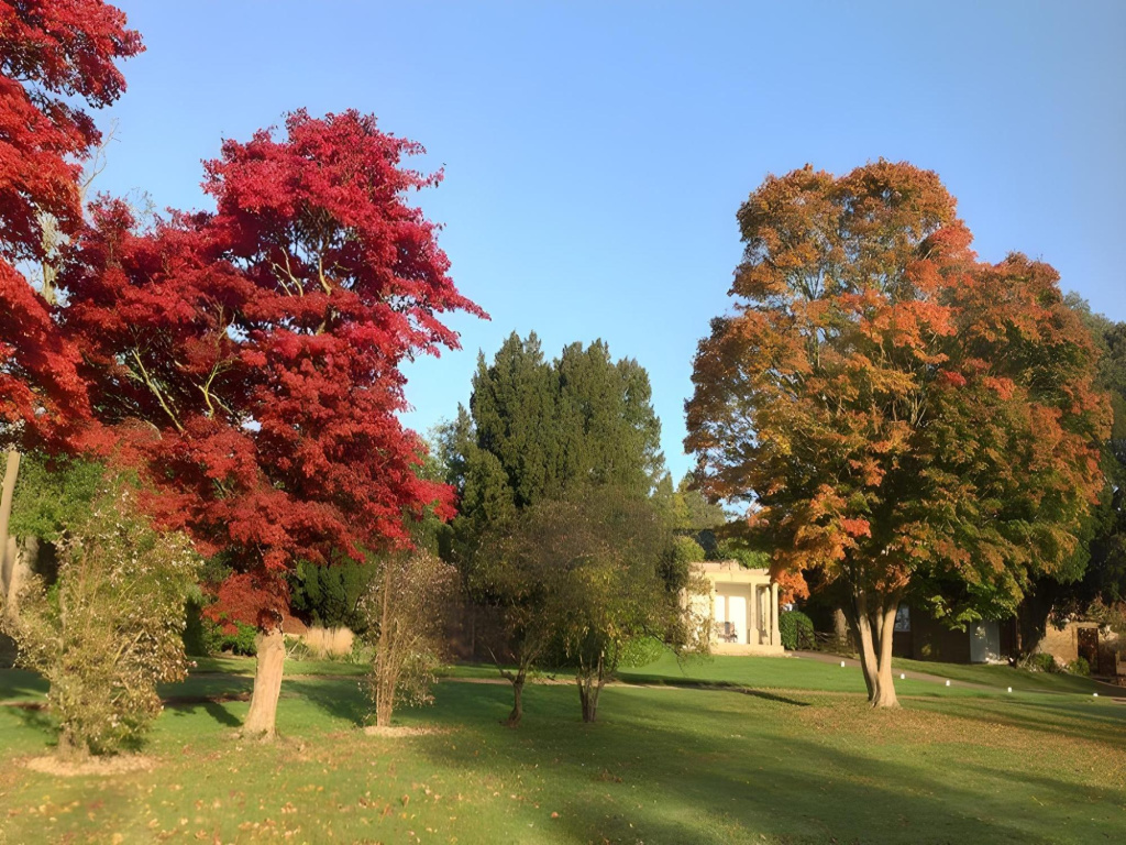 Highfield Park - Général