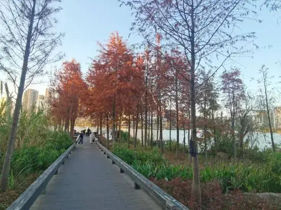 Minhou Yihe Homestay (Minhou University Town Zhonghai Xuyu Branch)