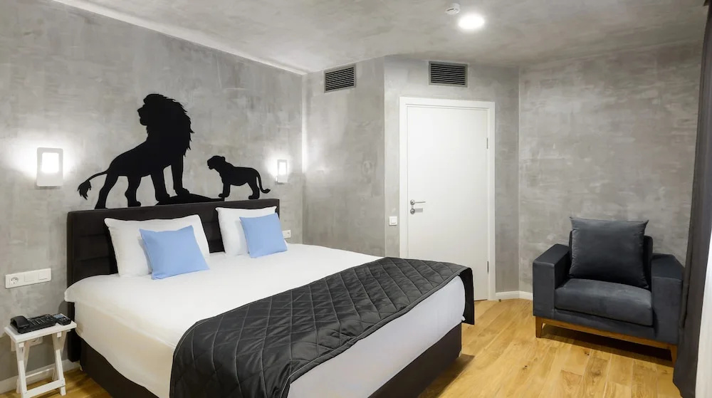 Large Double room (full double bed)