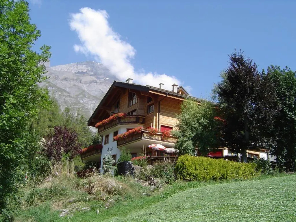 Hotel Alpina - Général