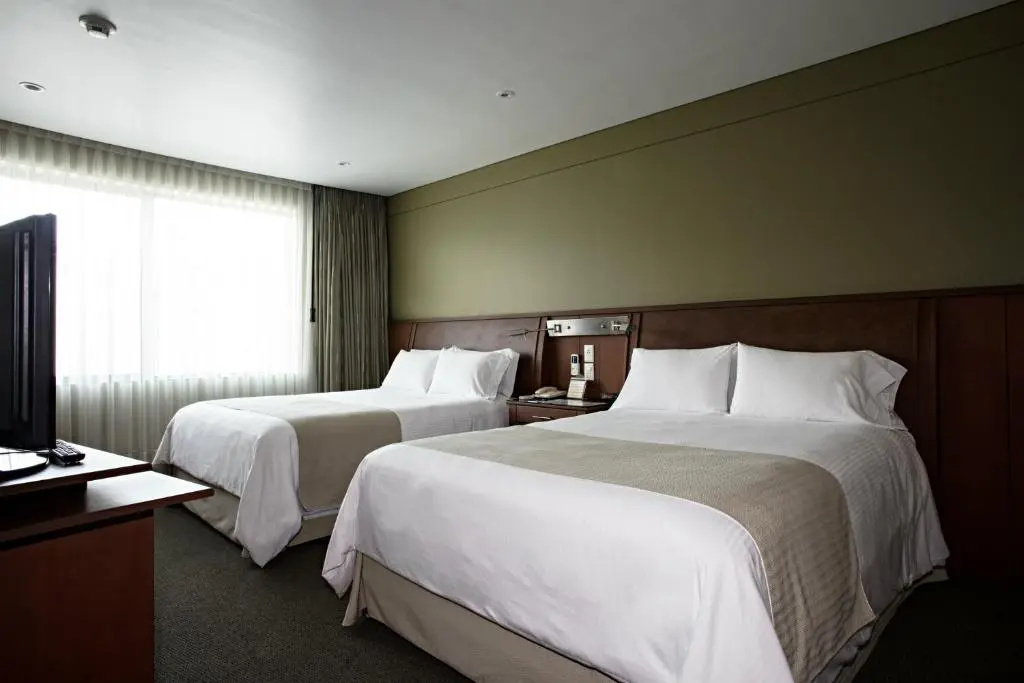 Suites Camino Real - Chambres