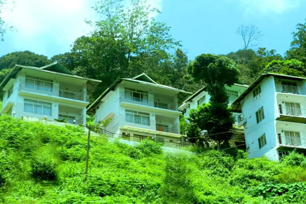Mist Inn Resort