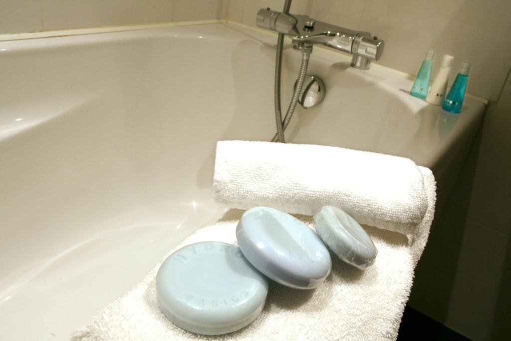 Holiday Inn Bordeaux Sud - Pessac by IHG - Général