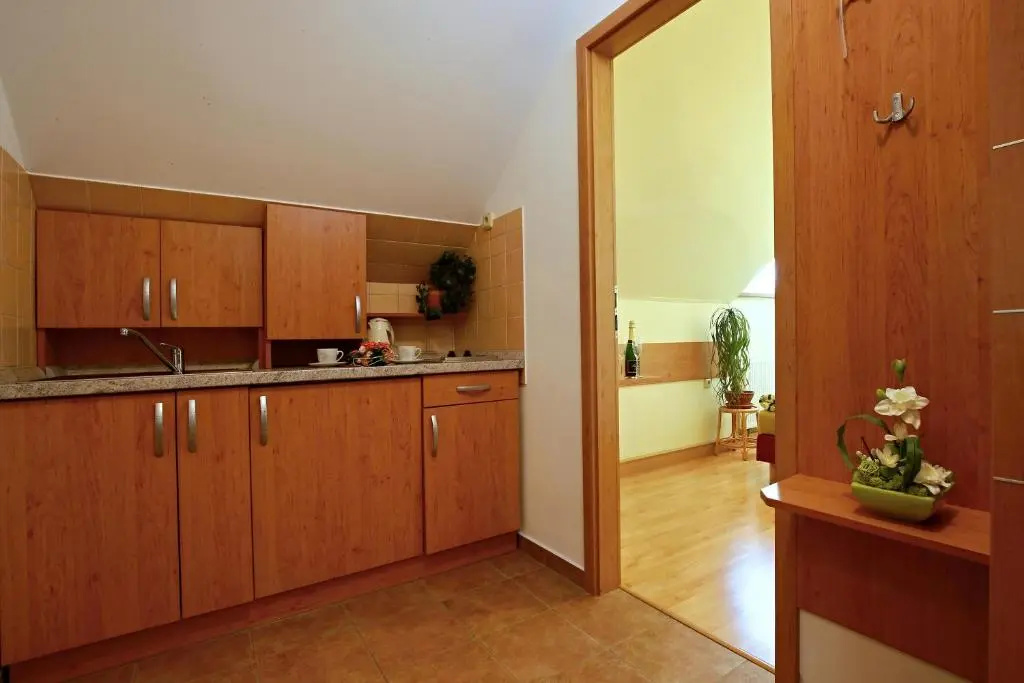 Wellness Penzion Pod Rozhlednou - Chambres