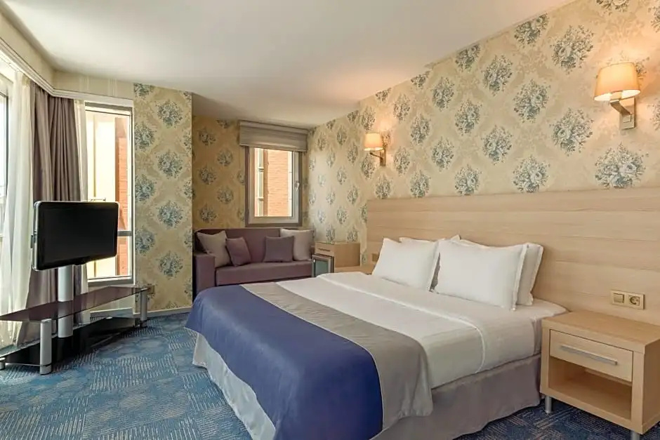 Ramada by Wyndham Ankara - Chambres