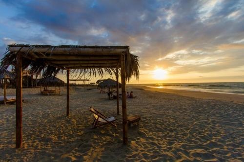 Beach & Waterfront