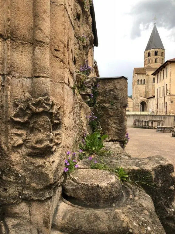 Voir la photo 1 — Maison TANDEM