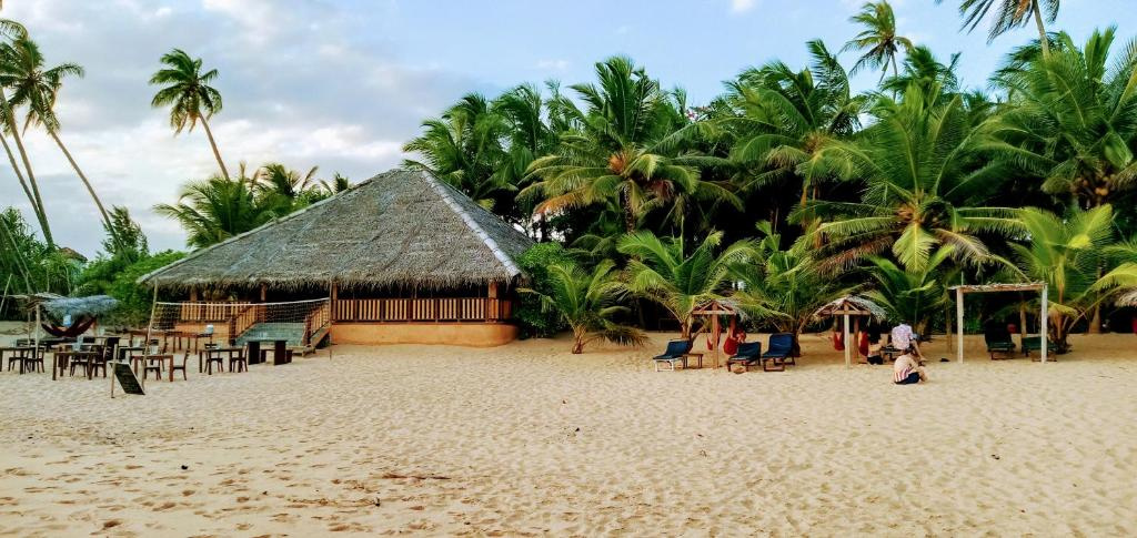 Beach & Waterfront