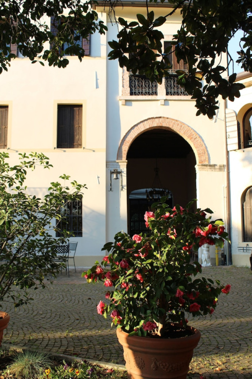 Hotel photo 43