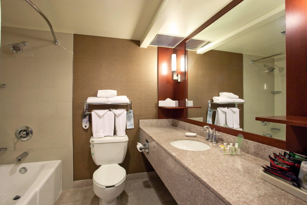 Holiday Inn Los Angeles Gateway - Torrance by IHG - Général