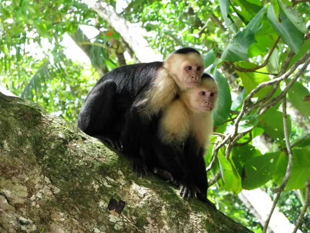 Kayak Lodge - фото 20