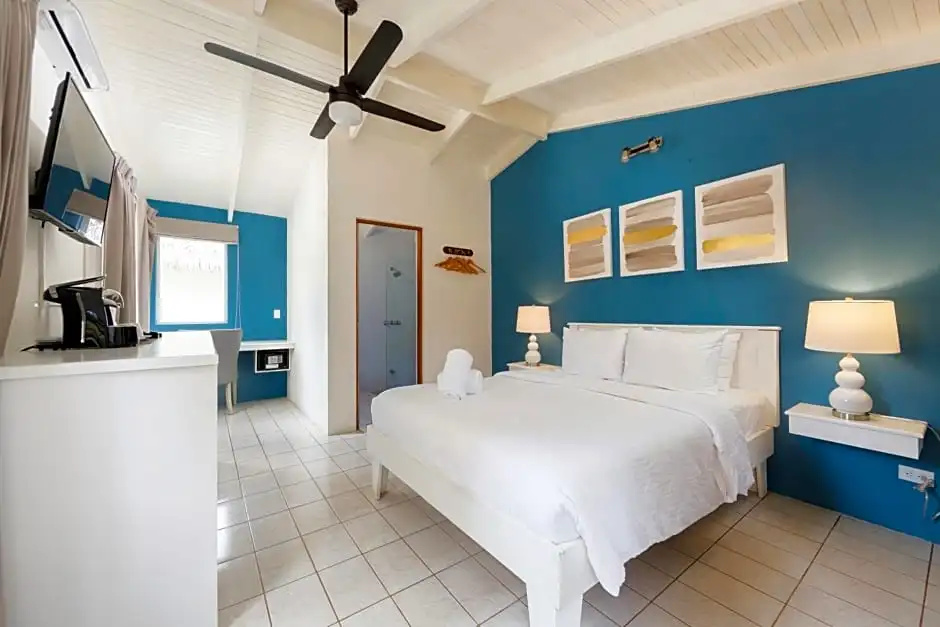 Deluxe Single room