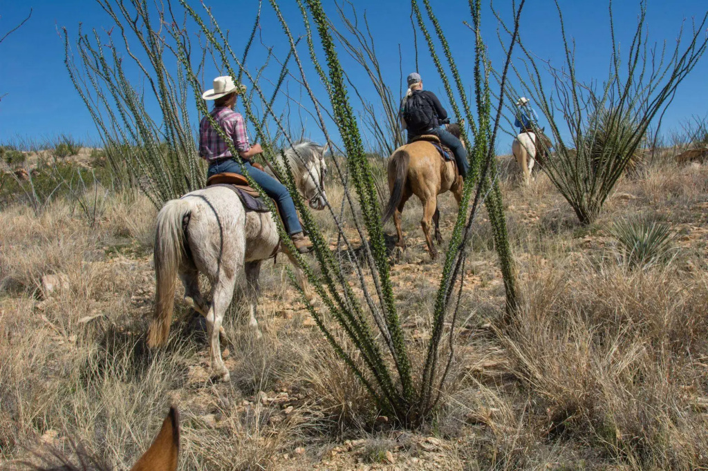Rancho De La Osa Guest Ranch