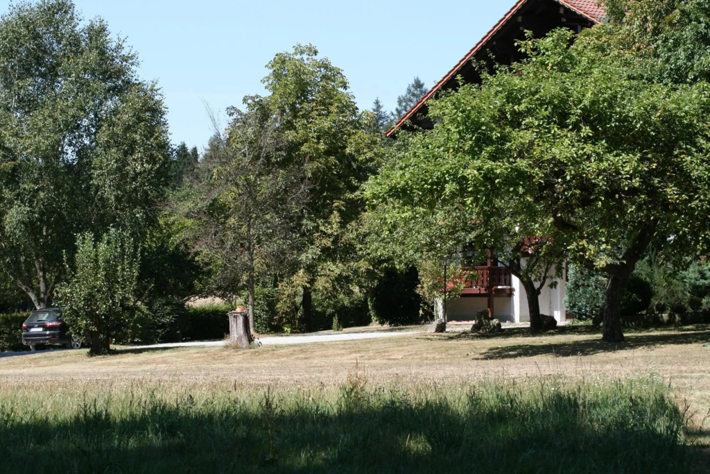 Image 26