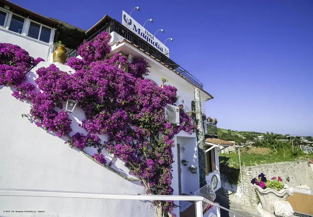 Hotel Magnolia - Général